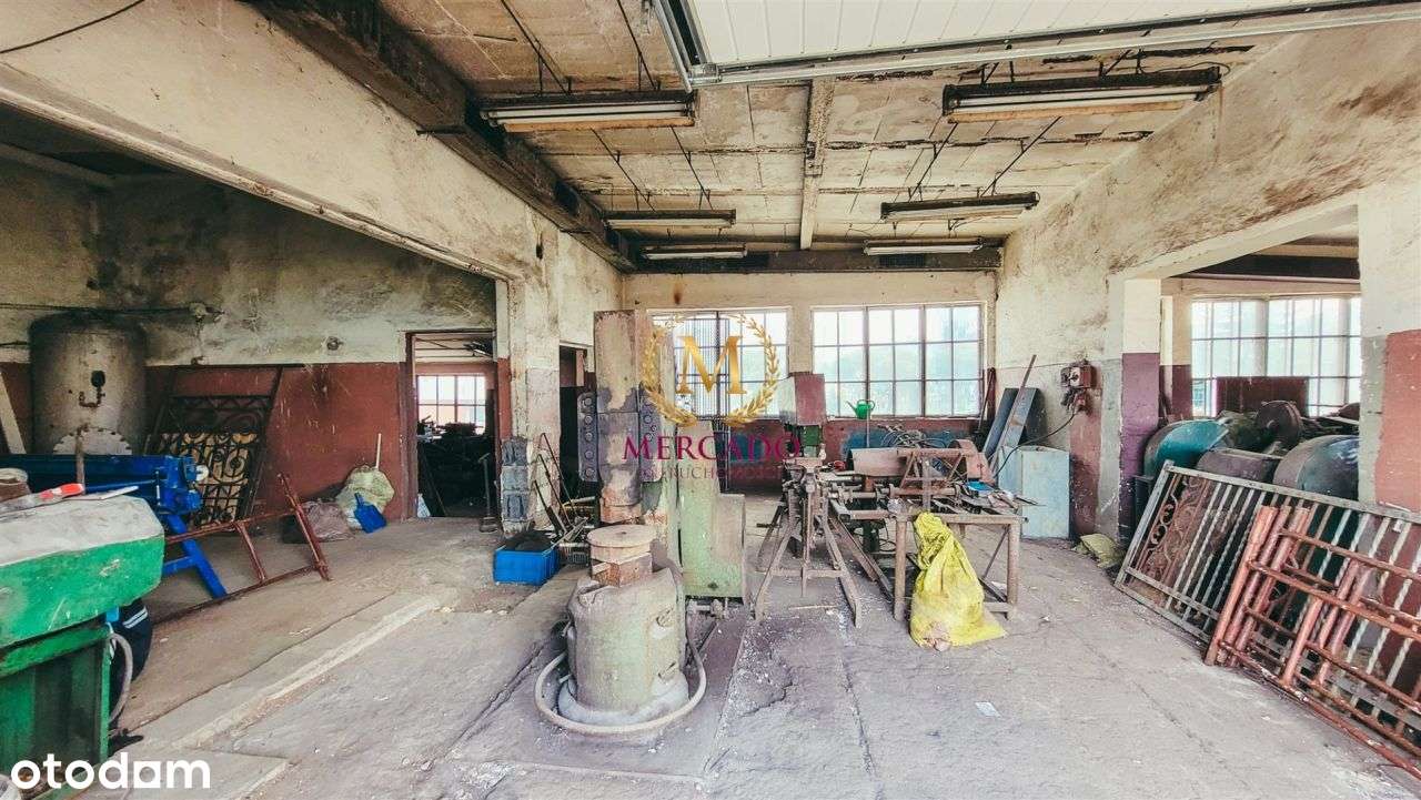 Budynek 300m2+działka 1100m2 blisko Dk10 - Pełny obrazek: 5/15