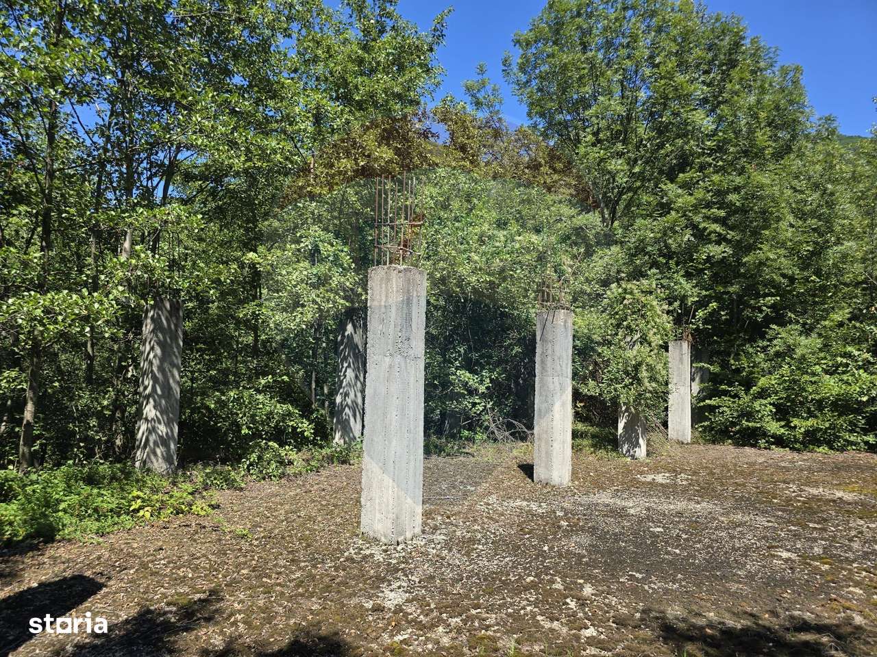 Teren 4,000mp Pascoaia / Soseaua Punctul Chiliilor - Imagine principală: 5/17