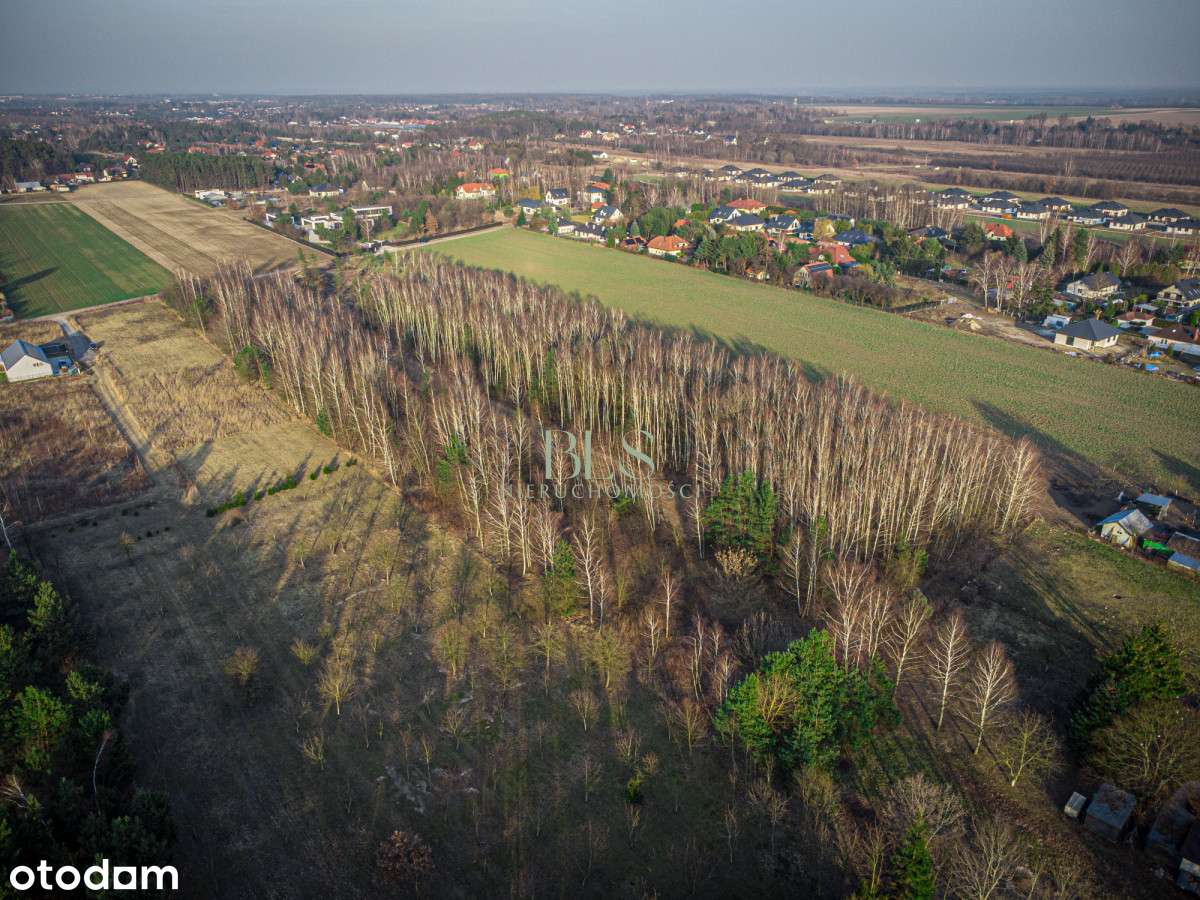 pod zabudowę jednorodzinną - Pełny obrazek: 4/7
