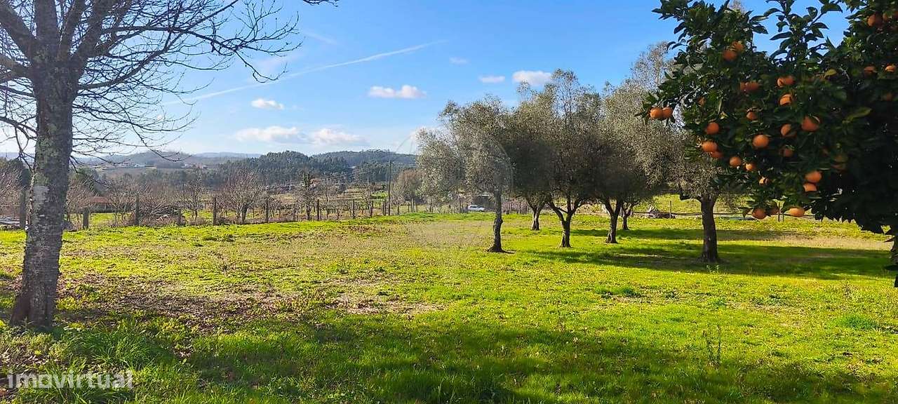 Moradia T0 para venda - Grande imagem: 4/21