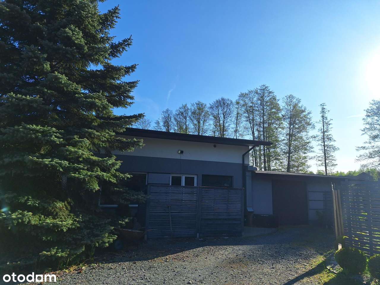 Lokale z dużym parkingiem do wynajęcia - Pełny obrazek: 2/4