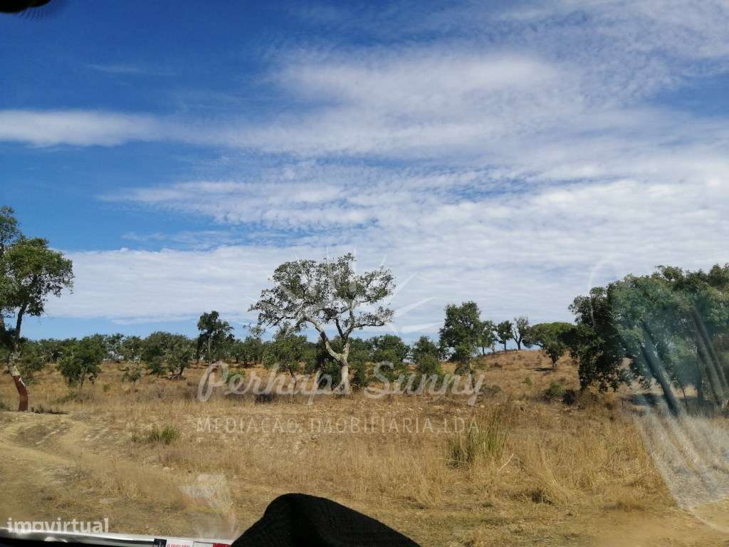 Terreno Misto - Grande imagem: 3/18