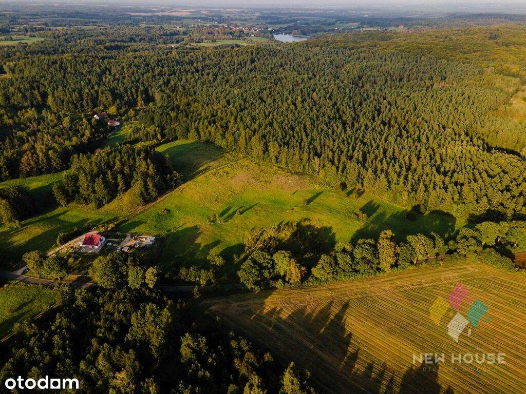 Kompleks działek  w otoczeniu lasu - Pełny obrazek: 4/6