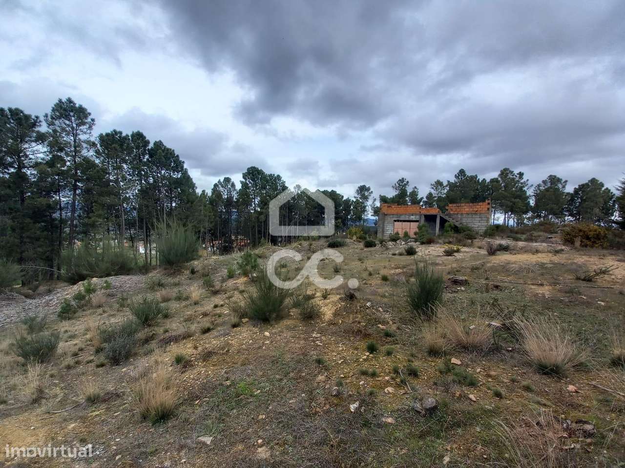 Terreno agricola com 3000m2 e um amazem já construído na Periferia da - Grande imagem: 5/31