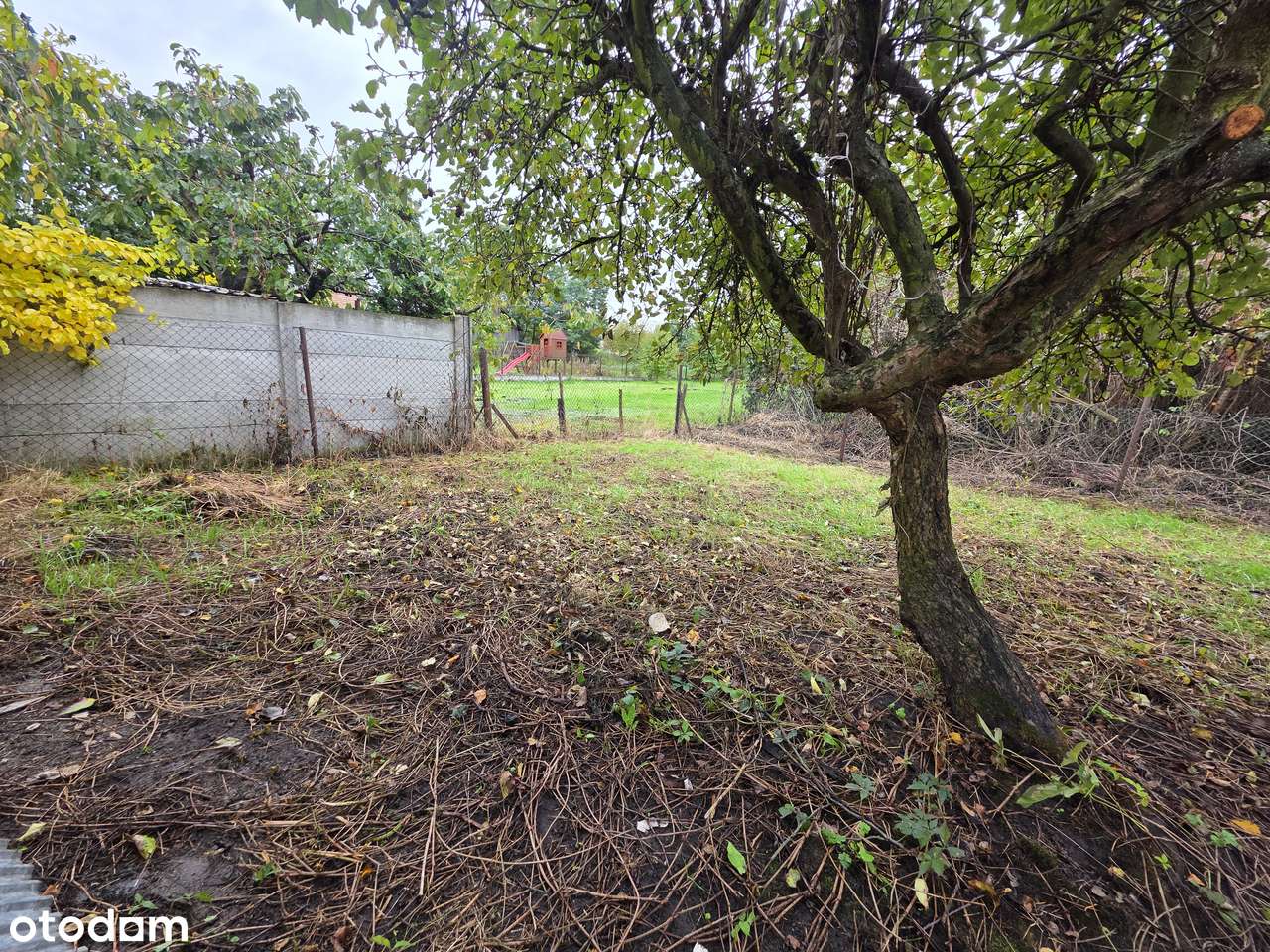 Wolonostojący dom w centrum miasta/ duży garaż pod warsztat/od zaraz-16