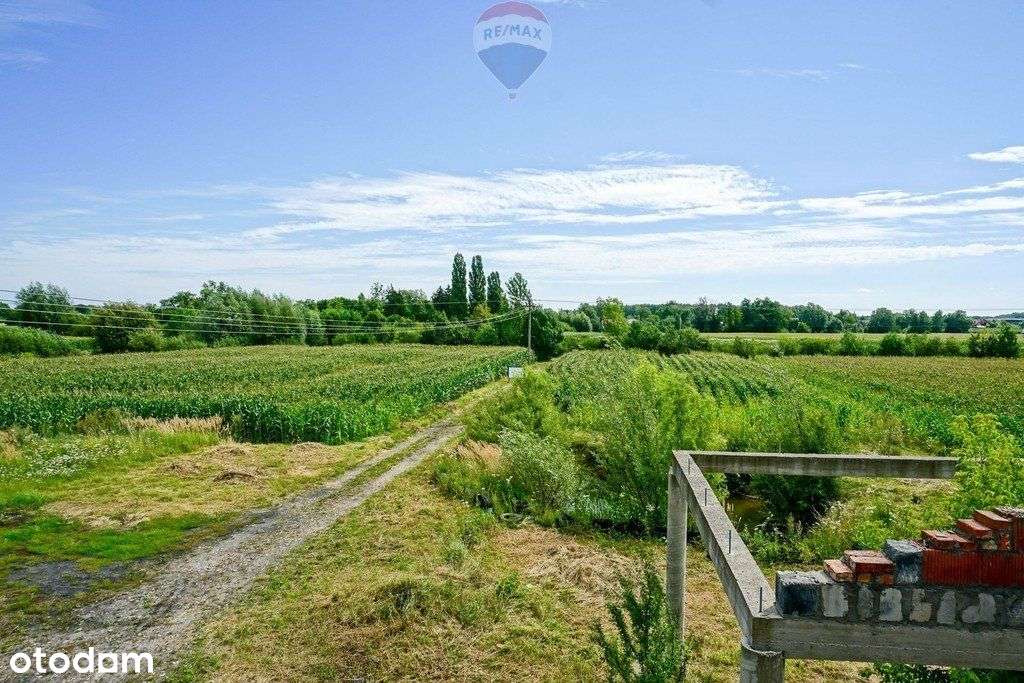 Dla inwestora - teren 1,5ha w sąsiedztwie Cpk - Pełny obrazek: 4/20