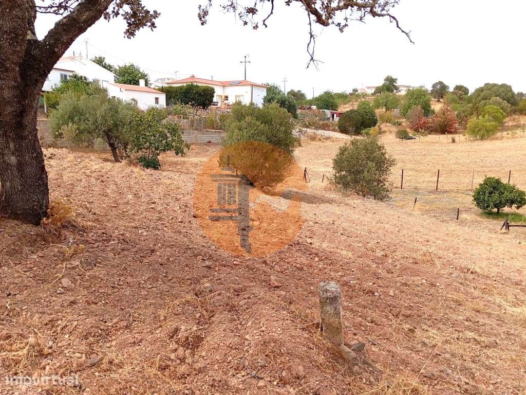 Terreno Rustico com água na zona da Corte António Martins-6
