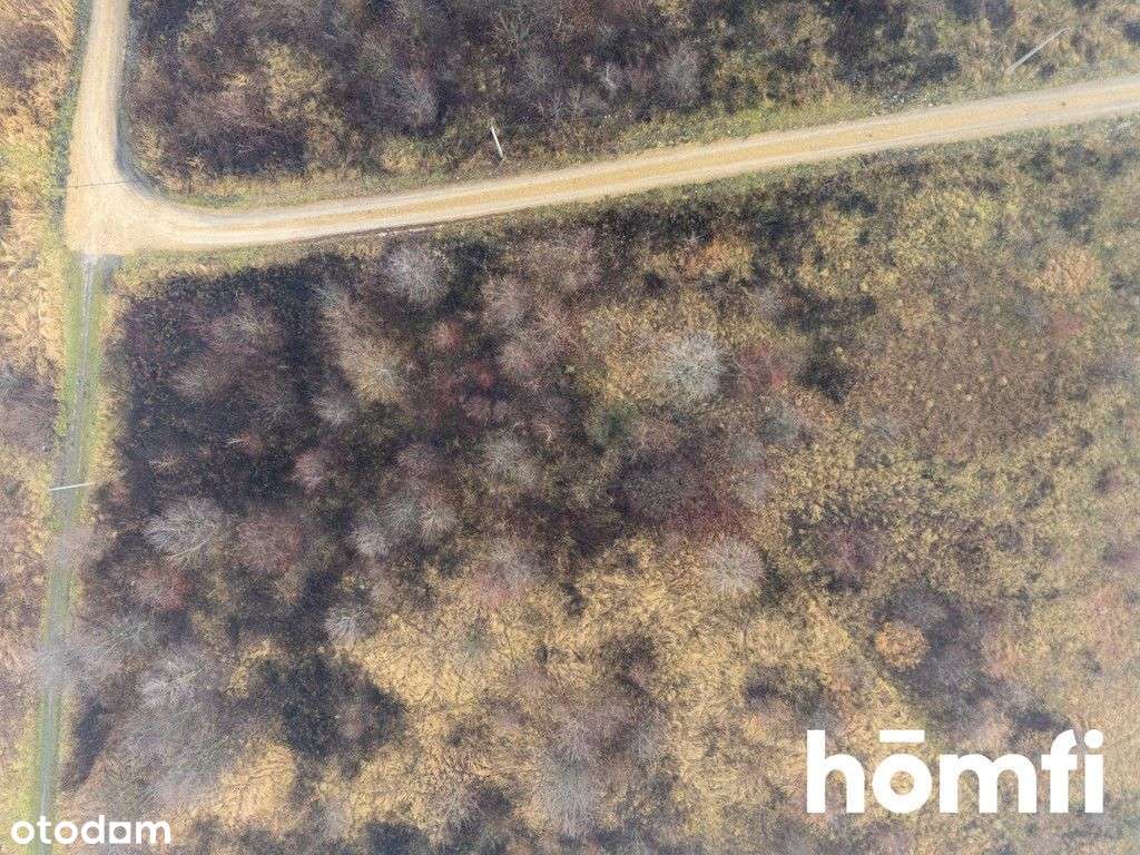 Działka Budowlana I 7-Ar I Trzebinia - Pełny obrazek: 4/14