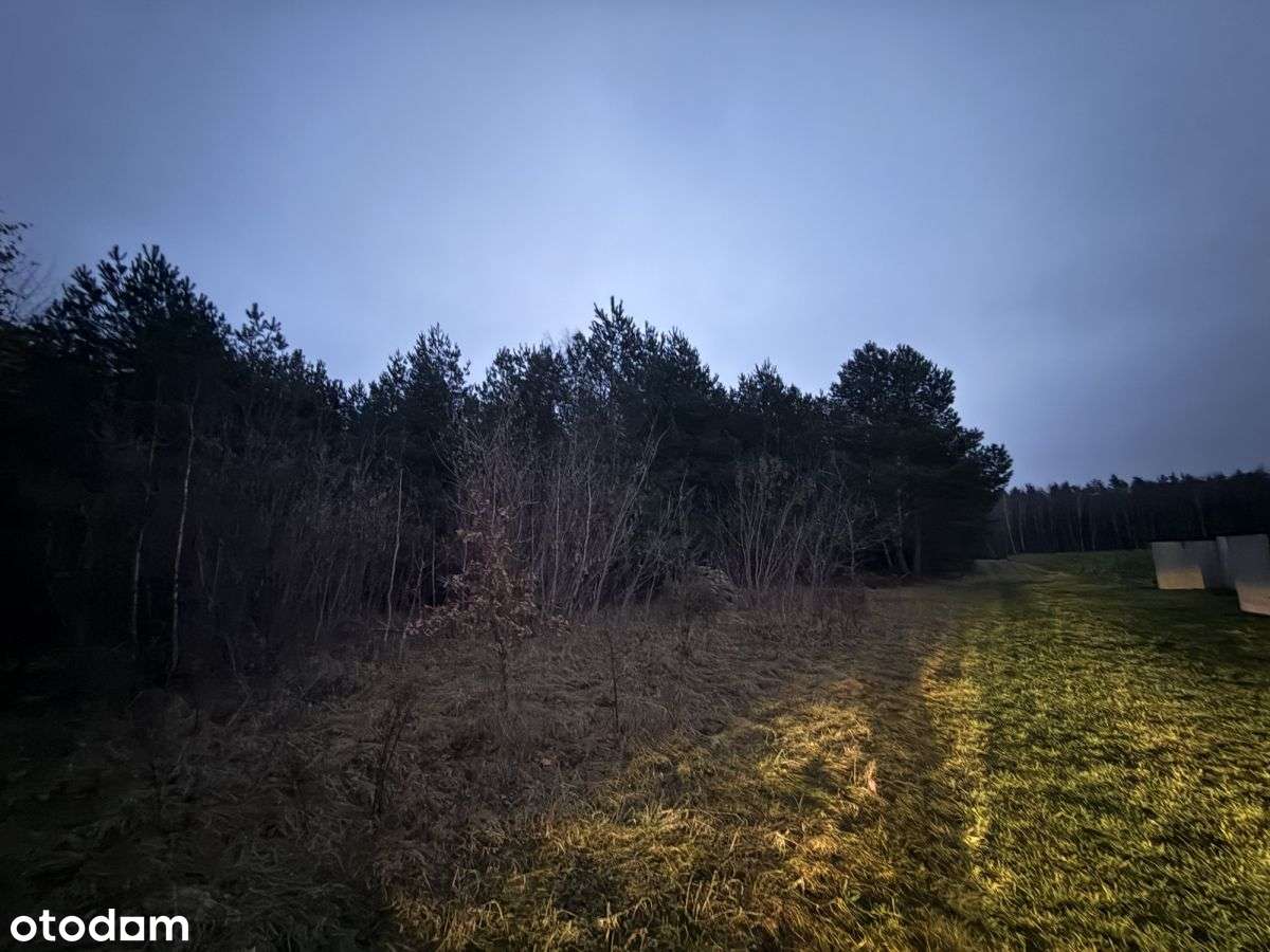 Okazja! Duża działka rolna w Borkowie 9802m2-9