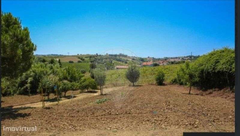 Vende-se terreno - Grande imagem: 4/8