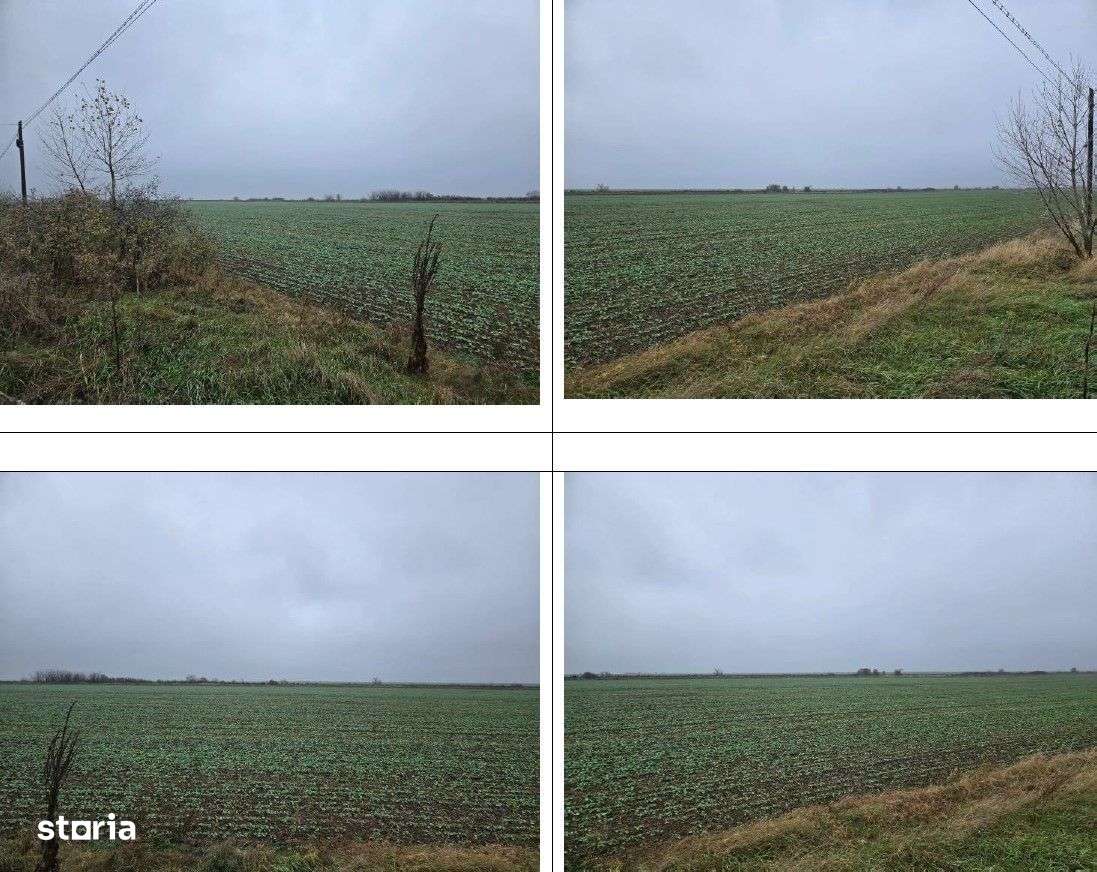 Teren Budesti, ID: R2362337 - Imagine principală: 4/4