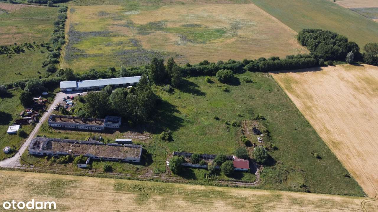 Hala magazynowa, warsztatowa, produkcyjna - Grunt 4,5 hektara-10