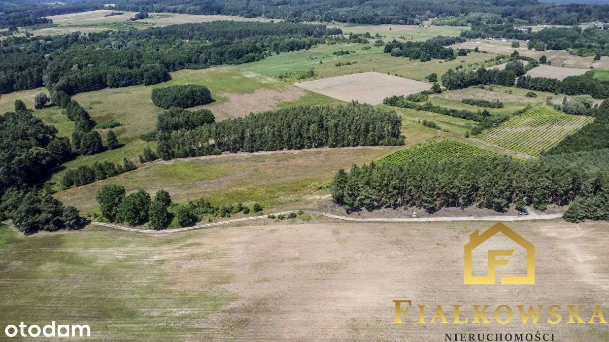 Działka rolna z istniejącą winnicą - Łaz-6