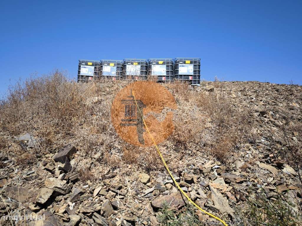 TERRENO COM 15.880 M2 - COM ÁGUA - COM APOIO AGRÍCOLA - ALTURA - CA... - Grande imagem: 4/41