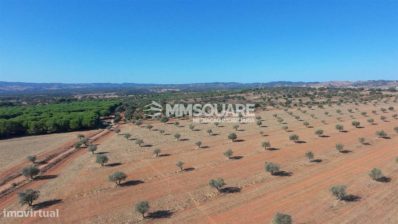 Herdade  Venda em Garvão e Santa Luzia,Ourique-17