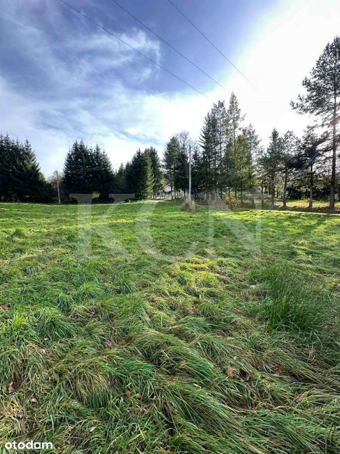 Działka w podgórskiej miejscowości Świeradów Zdrój-7