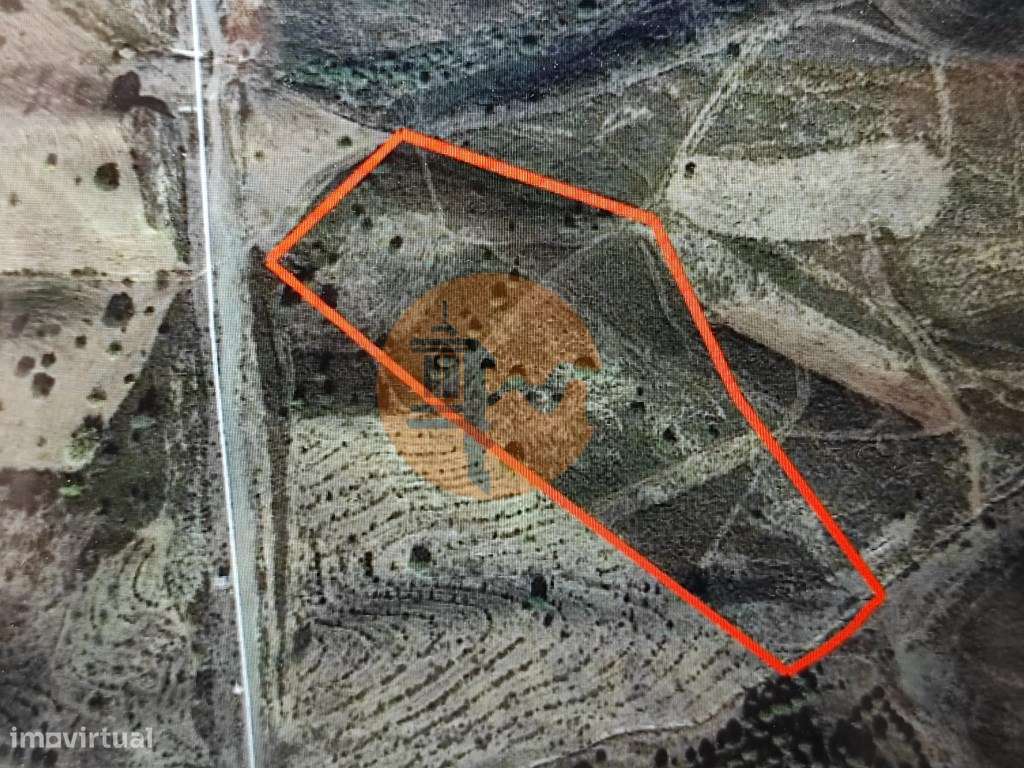 TERRENO RÚSTICO COM 16.880 m2 - COM ÁRVORES - FONTE - CASTRO MARIM ... - Grande imagem: 2/54