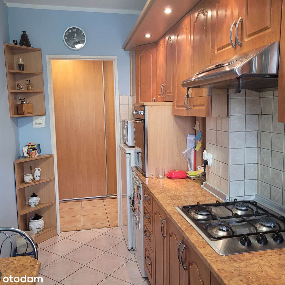 Mieszkanie 2 pokoje, rozkład, plomba, w ok. pl Bema-2