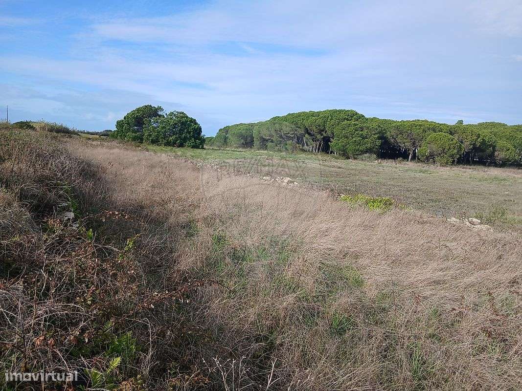 Industrial  para venda - Grande imagem: 5/12