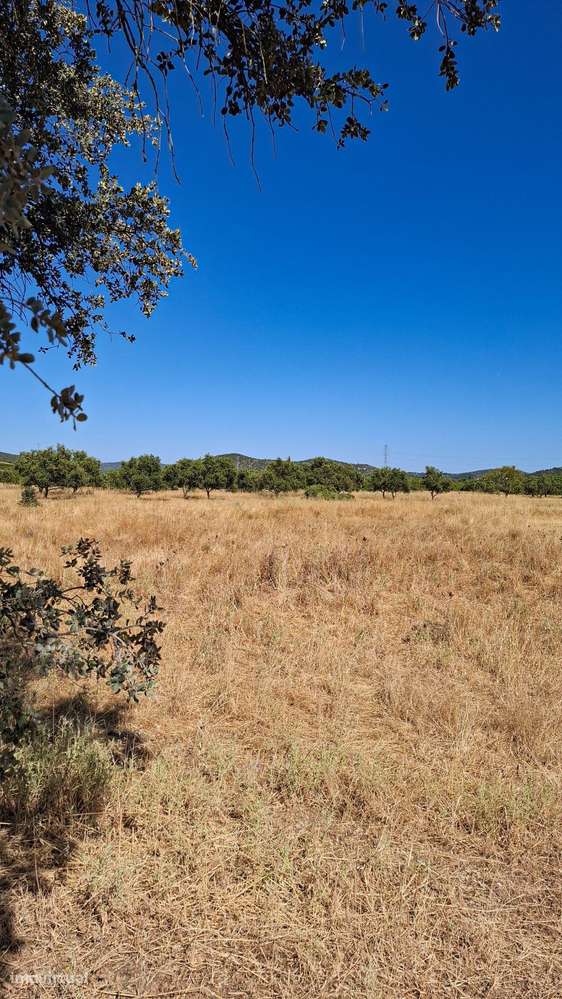 Terreno Rústico com Grande Potencial Agrícola – 7.800 m² em Paderne, A - Grande imagem: 5/10