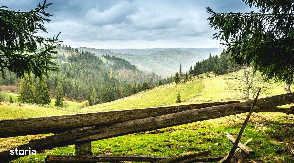 Teren extravilan, 34219 mp, priveliste, padure, utilitati, in Marisel - Imagine principală: 4/9