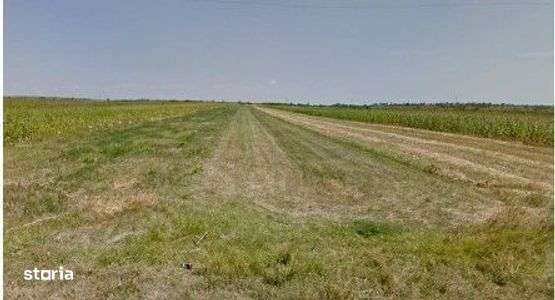 Teren extravilan cota parte 1/3 Cernatesti , ID: R2586146 - Imagine principală: 4/8