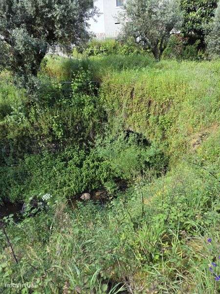 Casa da moagem perto do rio - Grande imagem: 5/11