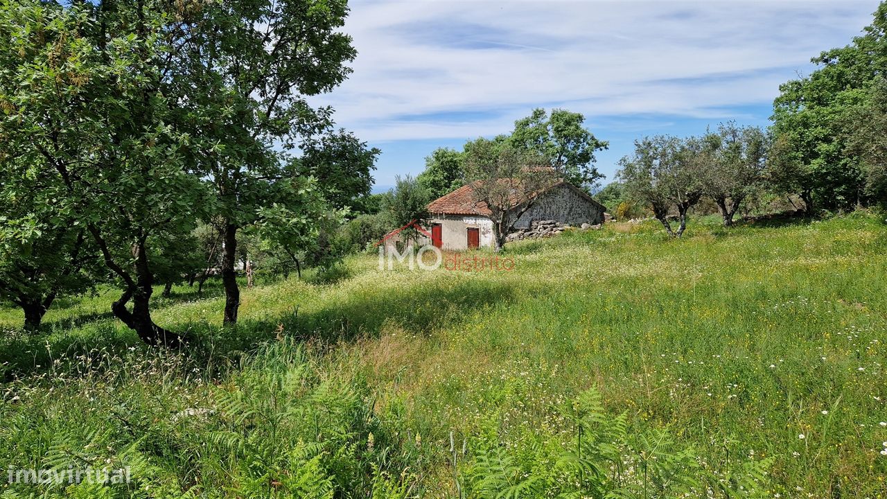 Quinta T2 Venda em Santa Maria da Devesa,Castelo de Vide