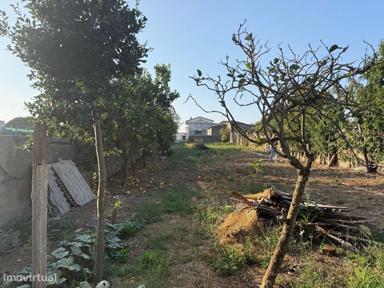 Prédio T3 Venda em Madalena,Vila Nova de Gaia - Grande imagem: 3/40