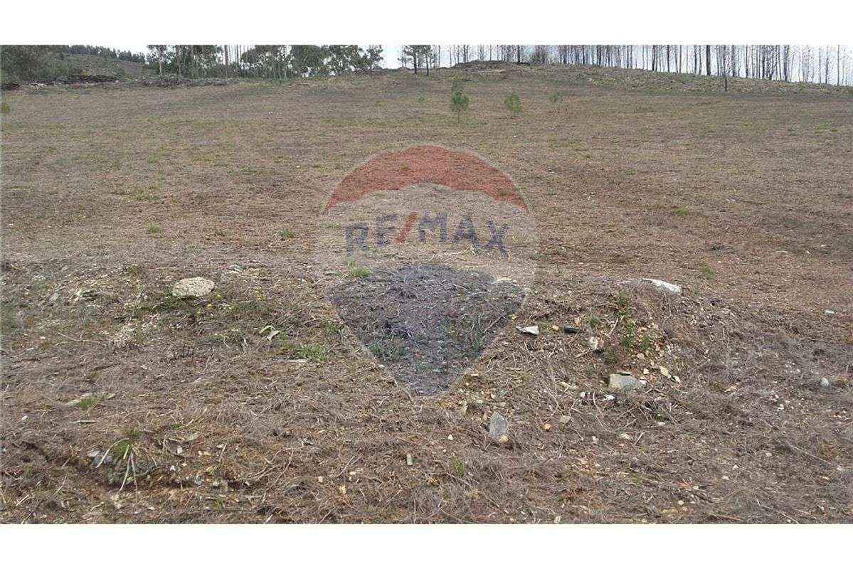 Terreno  para venda - Grande imagem: 5/6