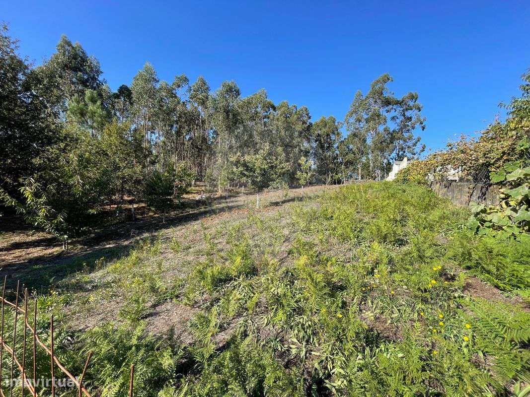 Terreno  para venda - Grande imagem: 3/13