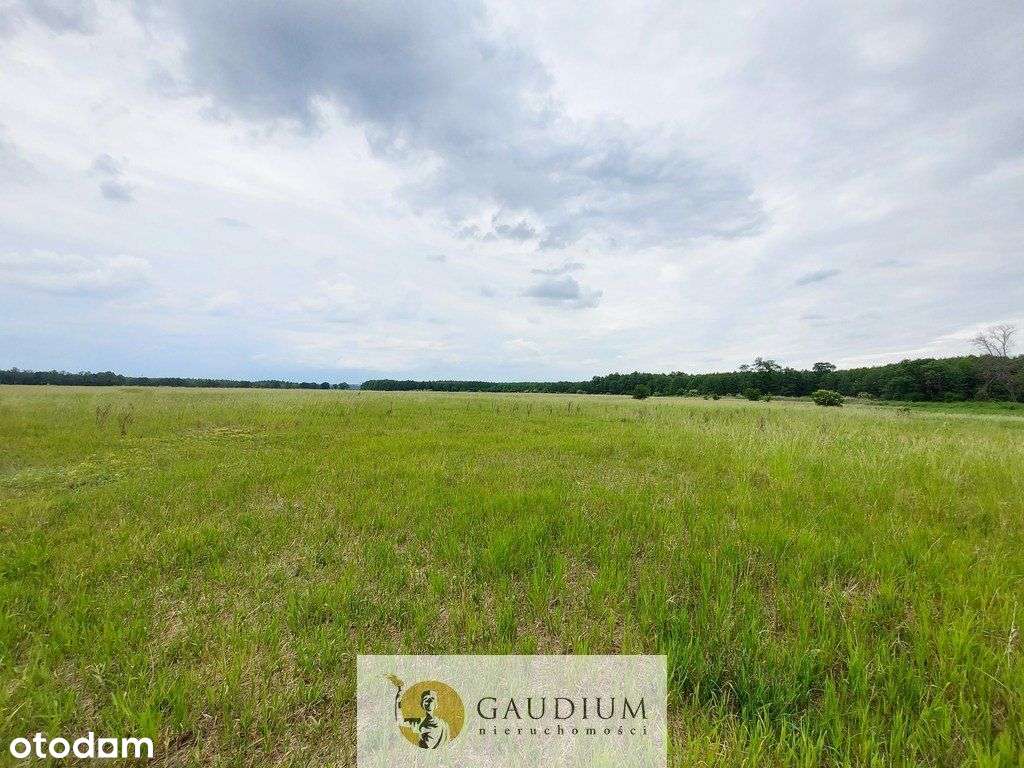 Turystyka nad brzegiem rzeki Obry-7