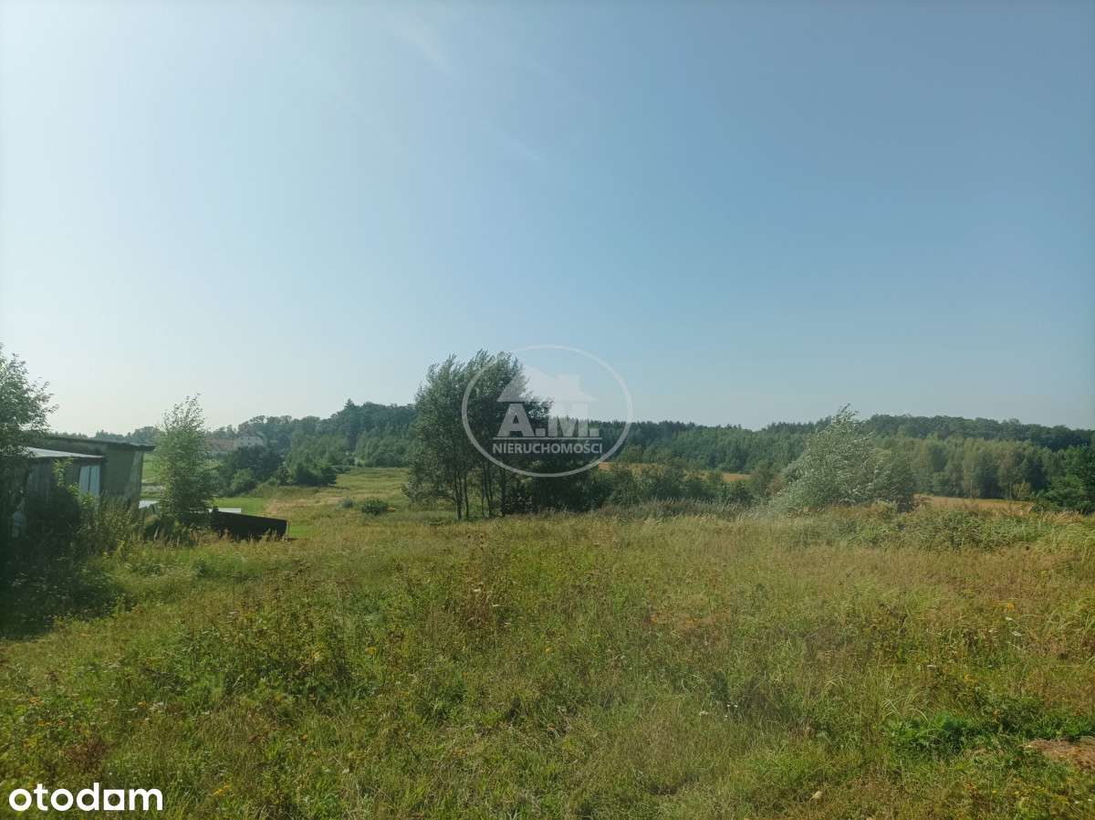 Atrakcyjna działka pod dom jednorodzinny - Pełny obrazek: 5/8