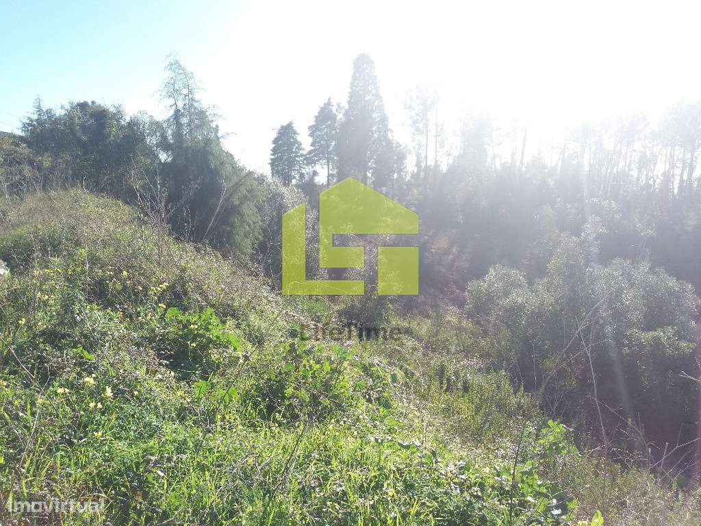 Terreno - Grande imagem: 2/5