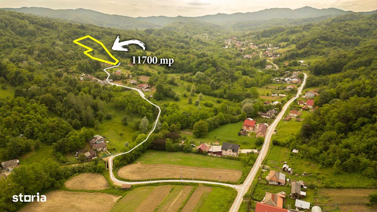 Teren 11700 mp în Valea Lungă, o oază de liniște, aer curat, verdeață - Imagine principală: 2/4