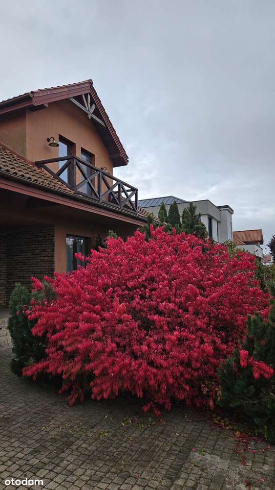 Przepiękny i funkcjonalny dom z ogrodem w Łomiankach. Polecam! - Pełny obrazek: 2/20