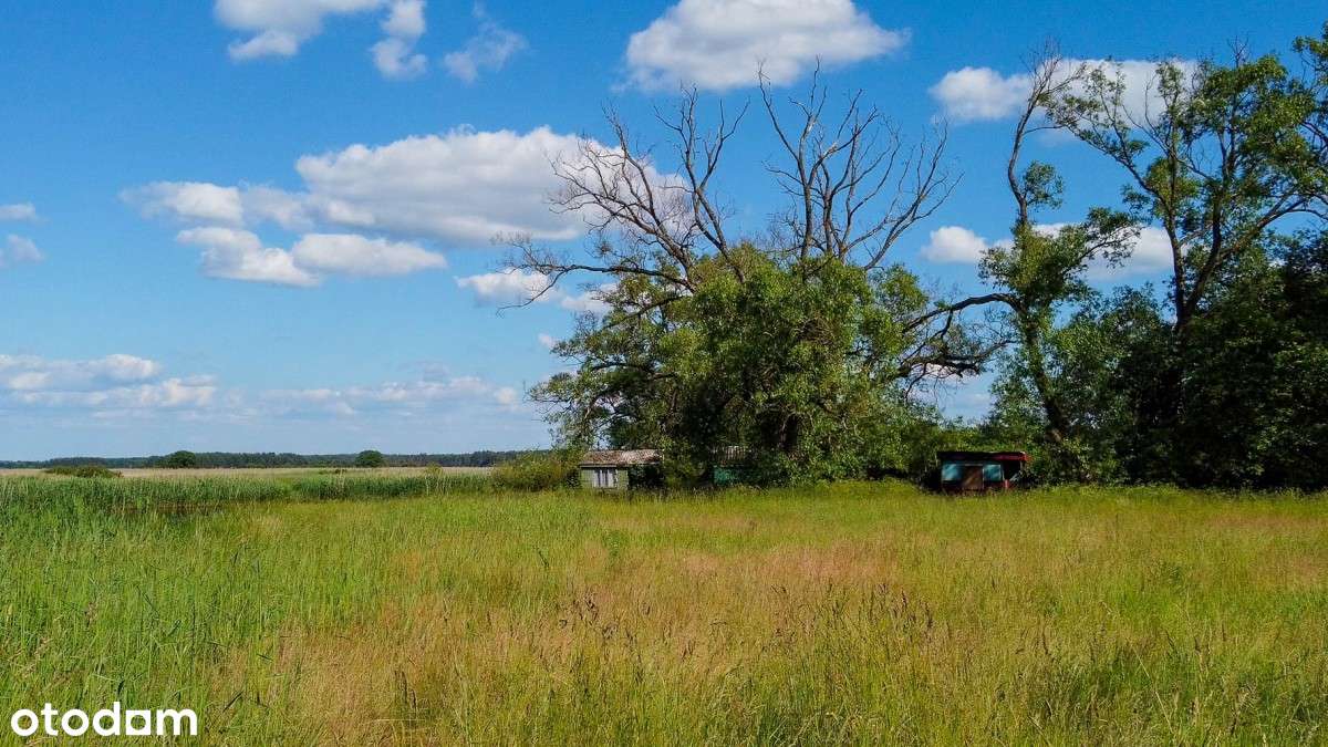Teren z istniejącą zabudową -lina brzegowa Biebrzy - Pełny obrazek: 4/16