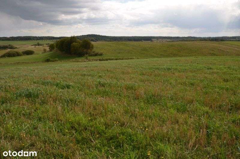 Działka rolna okolice Przywidz-2