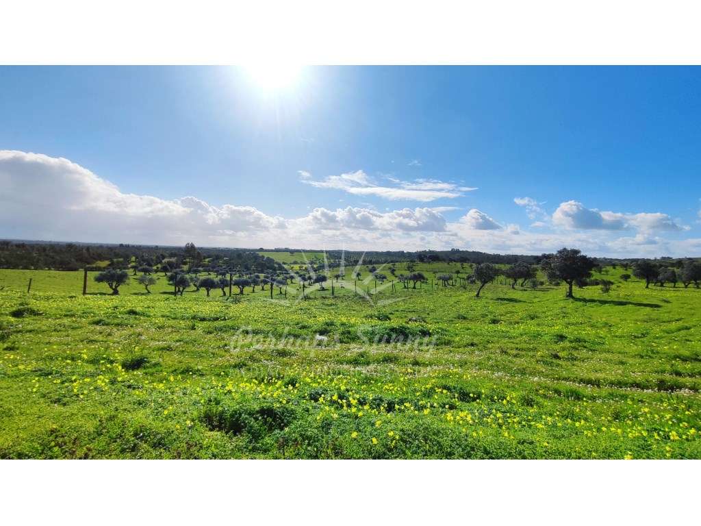 Terreno com moradia para recuperar - Grande imagem: 3/38