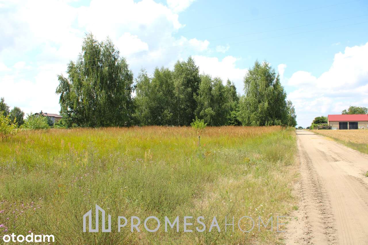 Kosewo działki budowlane las Jezioro Powidzkie SUPER CENA !! - Pełny obrazek: 4/6