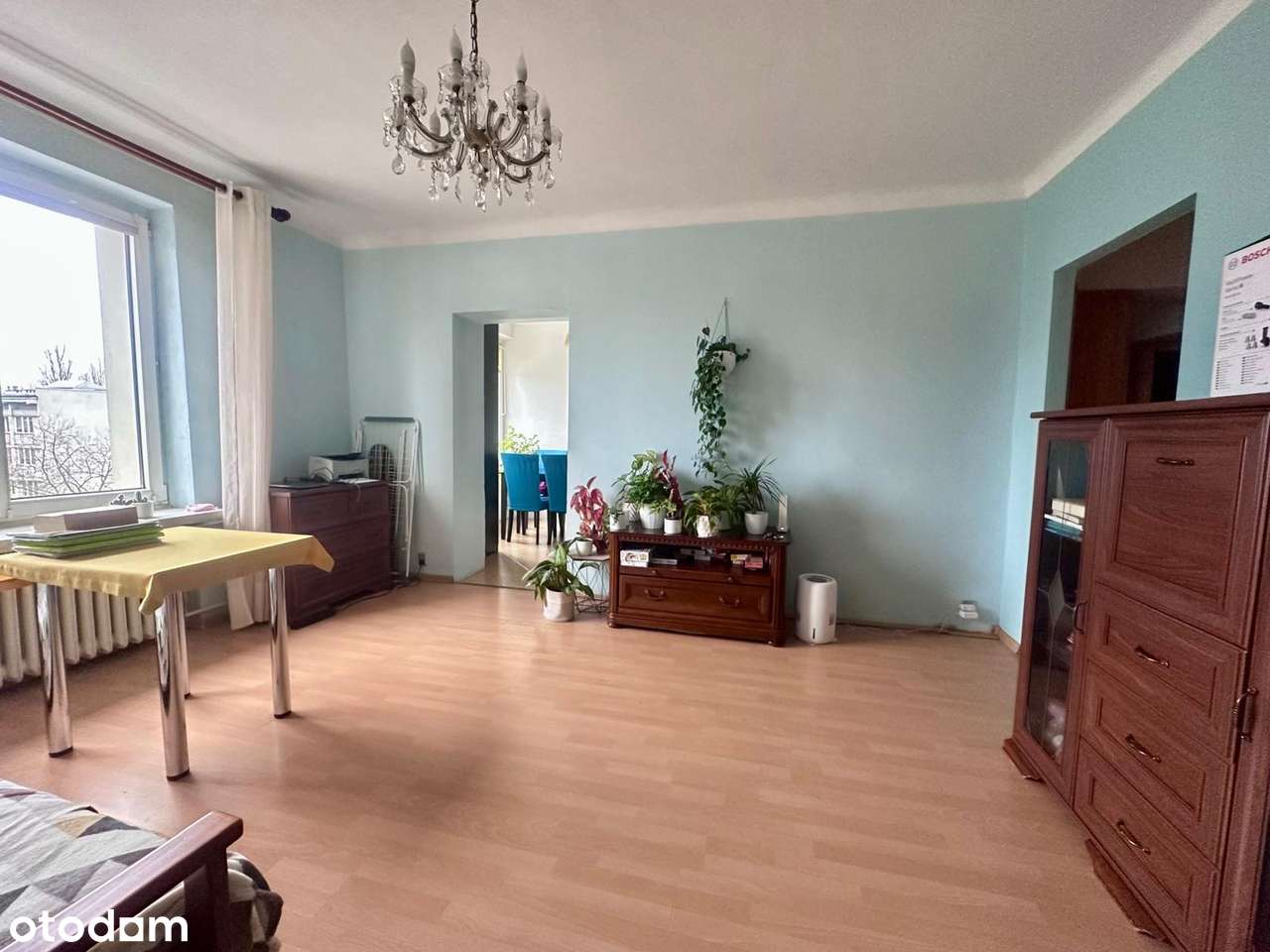 Mieszkanie na Stary Żoliborzu 1/2 pokoje Do Remontu - Pełny obrazek: 5/13