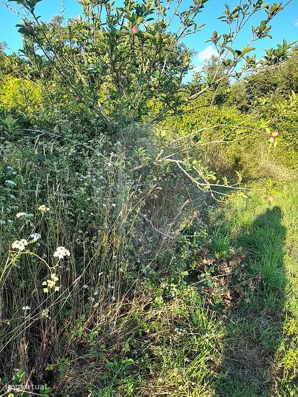 Terreno  para venda - Grande imagem: 5/6