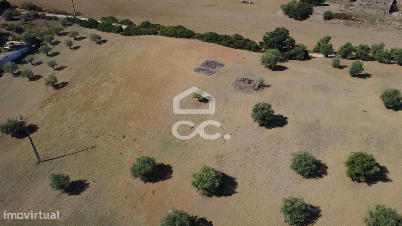 Terreno Rústico com 25.240 m² em Ferras, Gavata, Torres Novas – RAN-27