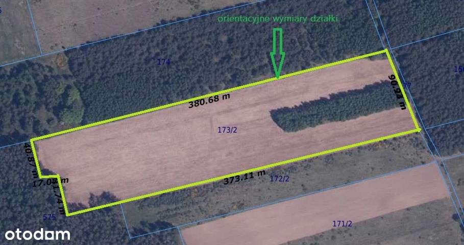 Duża działka inwestycyjna pod lasem w gm. Polanów! - Pełny obrazek: 5/6