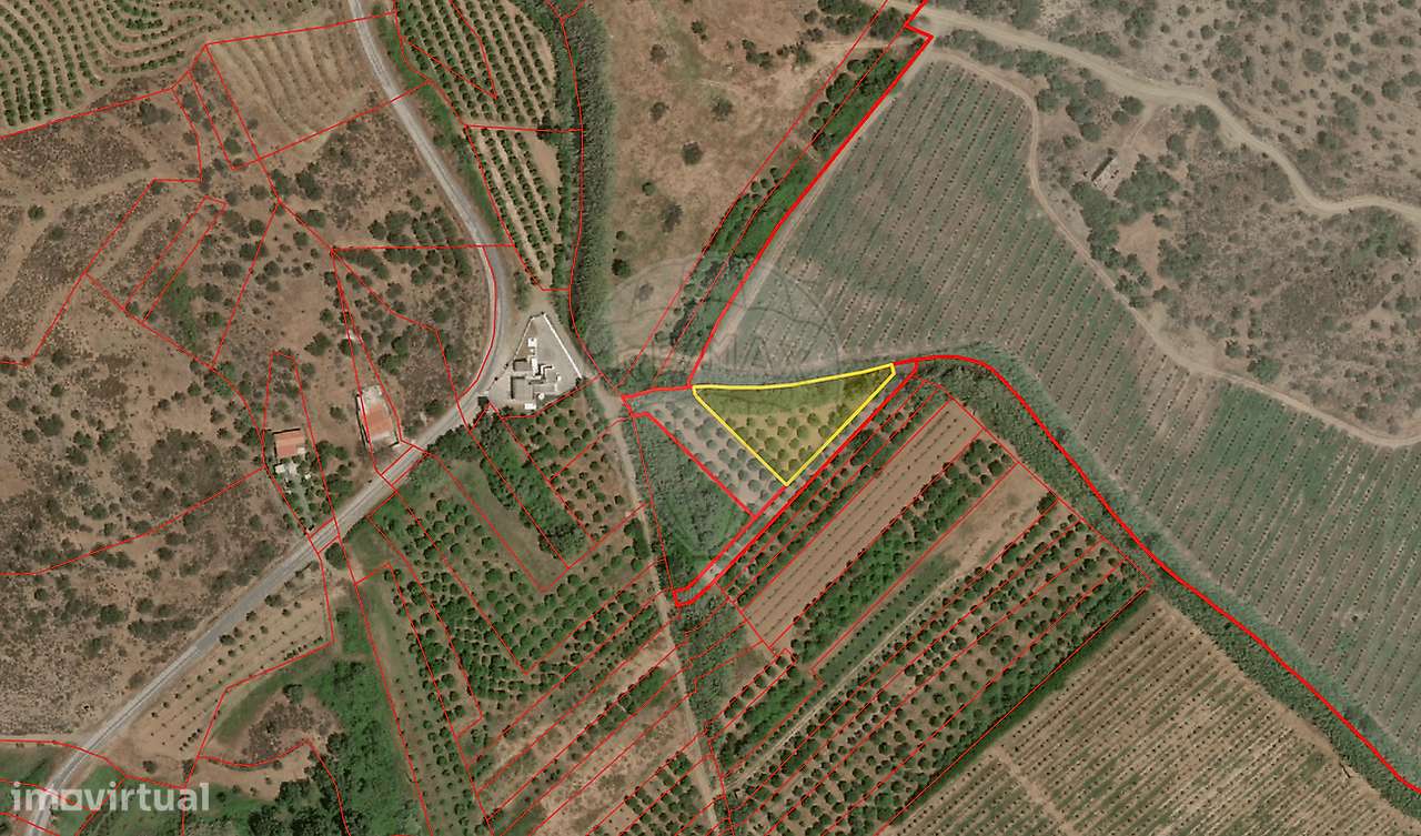 Terreno  para venda - Grande imagem: 4/4