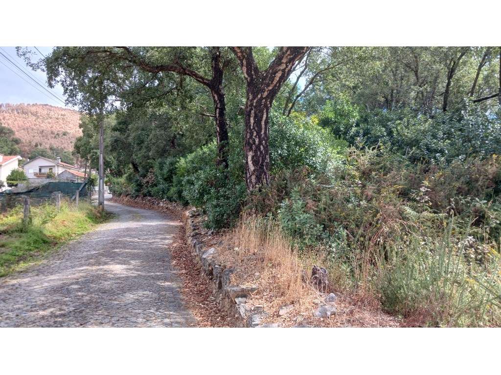 TERRENO MISTO | MELRES | GONDOMAR-11