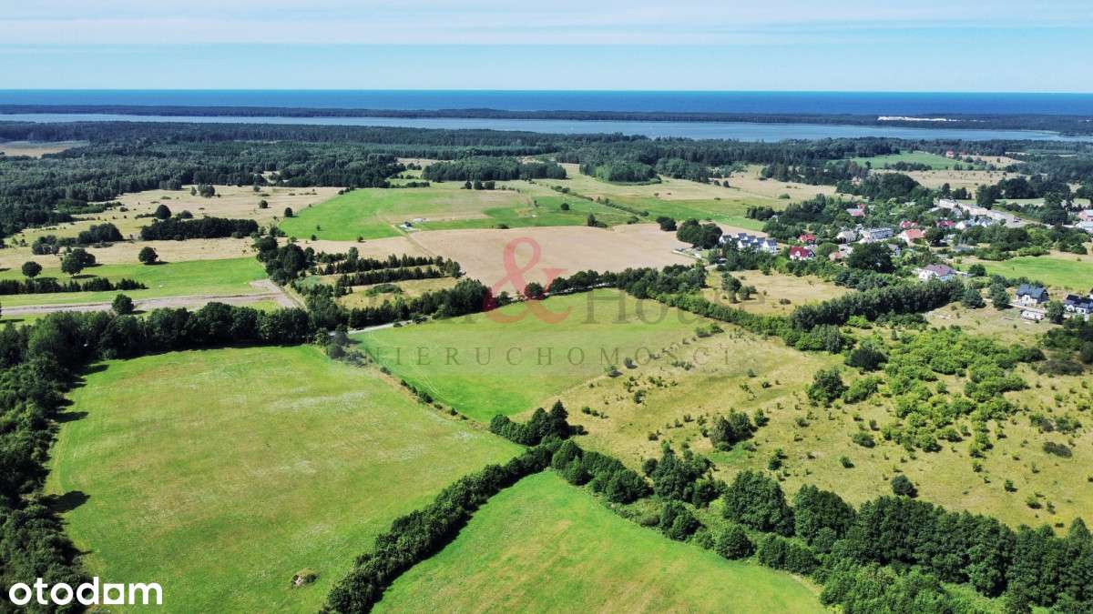 Sarbsk! Duża działka przy strumyku - Pełny obrazek: 4/9