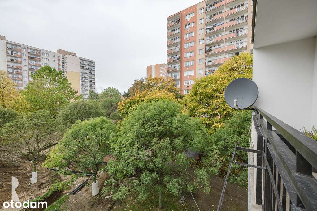 3 pok. po gruntownym remoncie z widokiem na zieleń-12