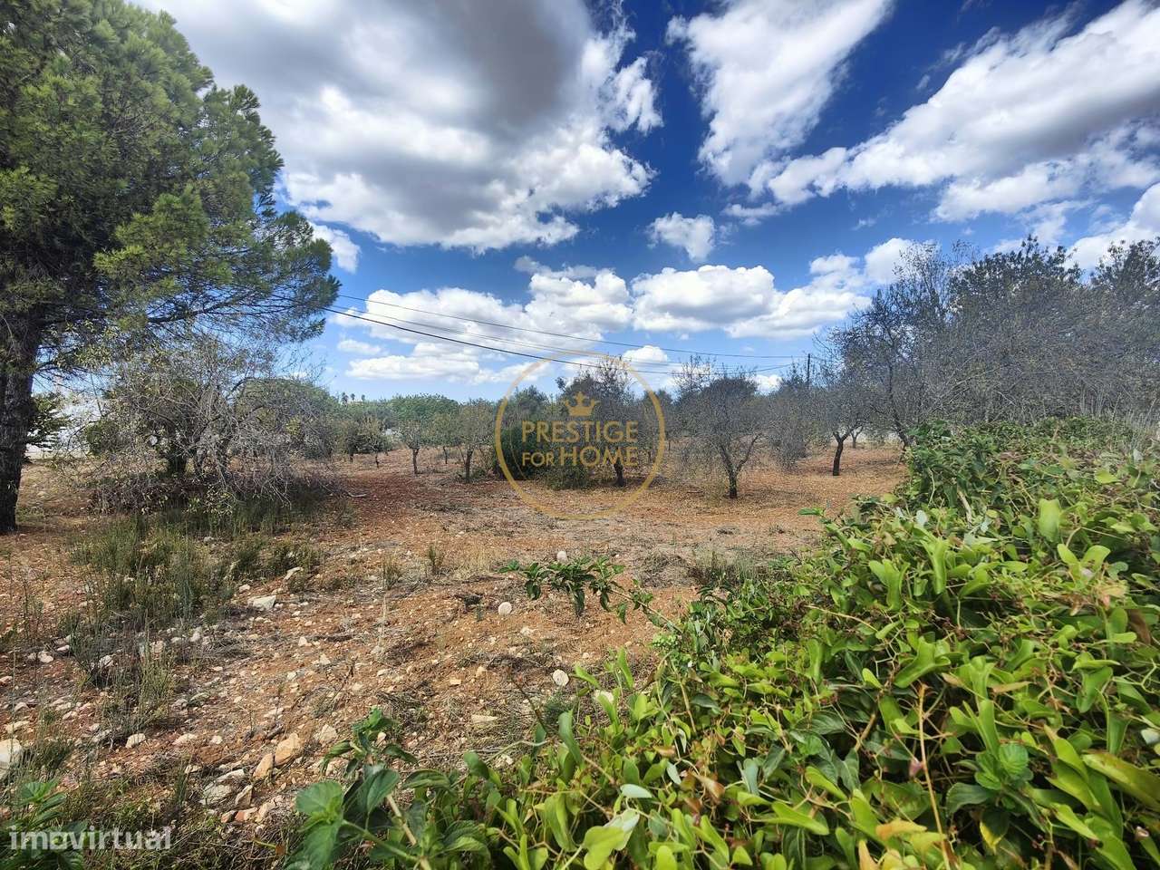 Terreno urbano com 2,136m2 com viabilidade de construção de 300 m2 - Grande imagem: 3/7