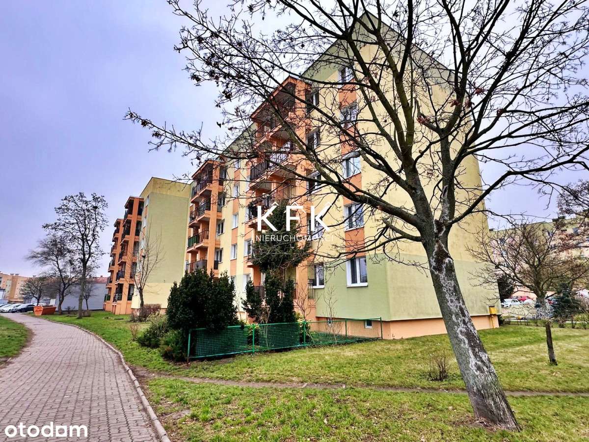 Pierwsze piętro Balkon Oddzielna Kuchnia FILM-19